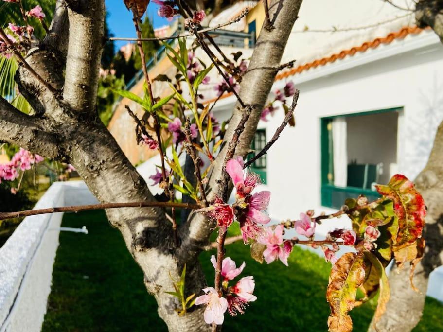 サウサルVivienda Vacacional Con Vistas.アパートメント エクステリア 写真